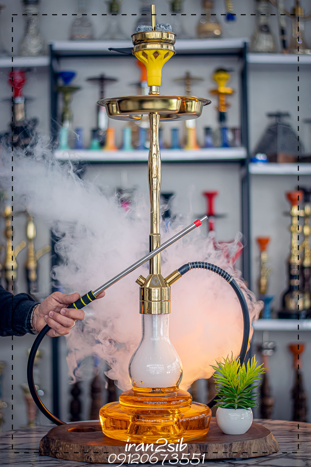  ghelyan110 ghelyankala ghelyanshop hookah iranhookah lion-king ایران دوسیب ایران هوکا خرید قلیون خرید قلیون ارزان کوچک عکس قلیون فروش قلیان فروش قلیون فروشگاه قلیان فروشگاه قلیون لایون کینگ قلیان قلیان شاپ قلیان لاکچری قلیان لایون کینگ قلیان های حرفه ای قلیون قلیونهای لایون کینگ قیمت قلیون لیست قلیان های لایون کینگ lion king قلیان لایون کینگ کد 15